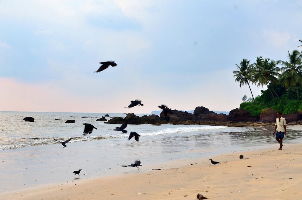 Ocean Green Kerala Kannur ภายนอก รูปภาพ