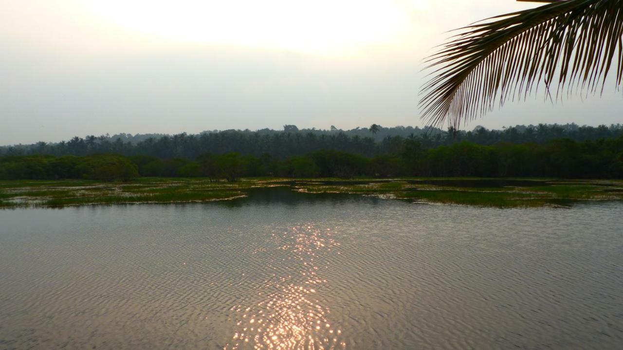 Ocean Green Kerala Kannur ภายนอก รูปภาพ